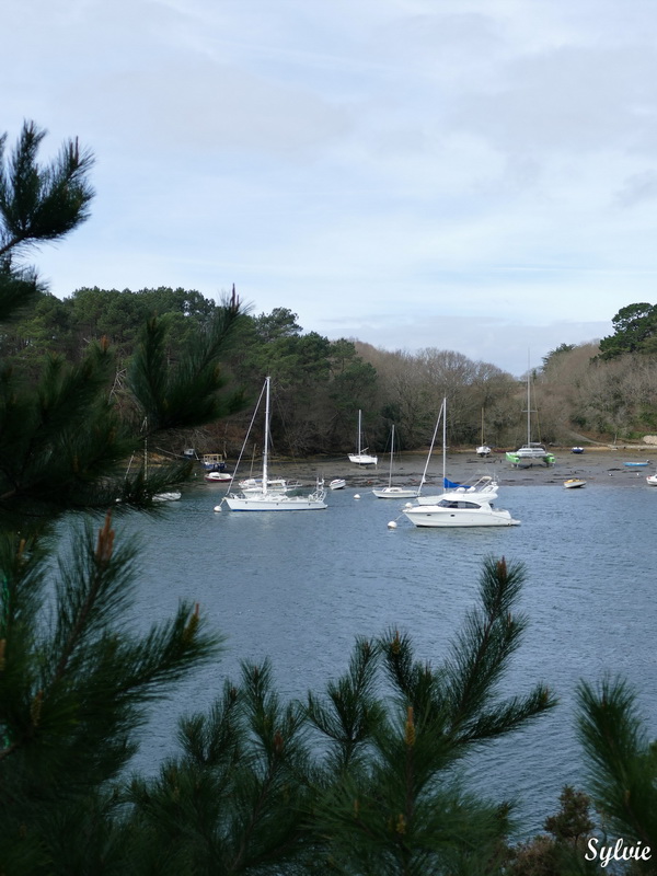 Le sentier Sinagots à Séné au bord du Golfe du Morbihan