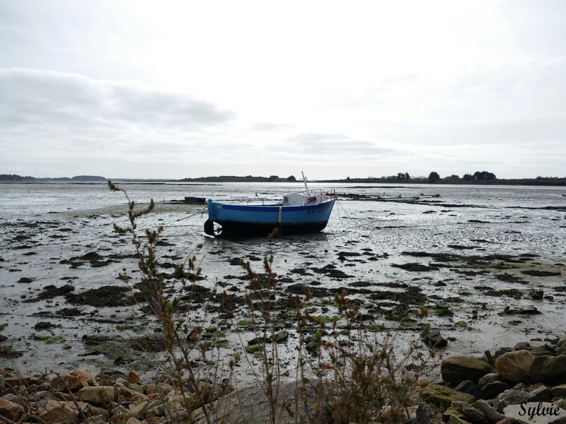 pointe du bil port anna sene6