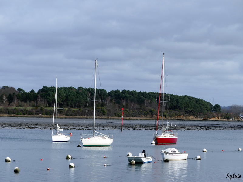 pointe du bil port anna sene7