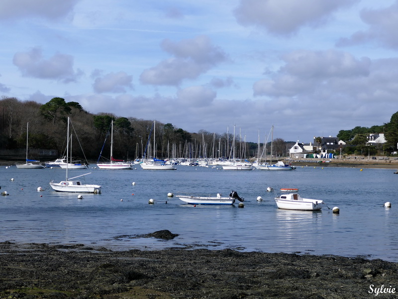 pointe du bil port anna sene8