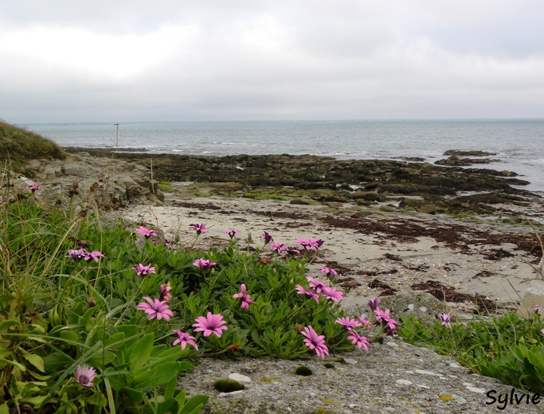 pointe-du-conguel