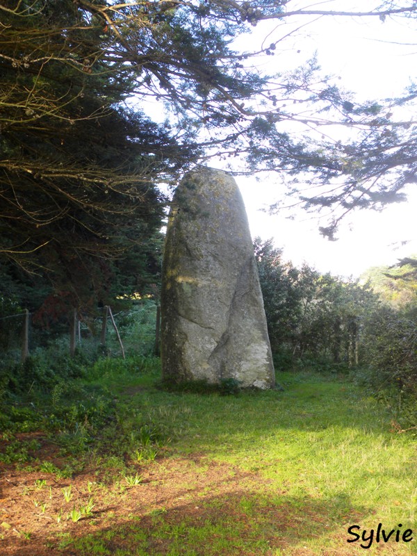 pointe-du-conguel18