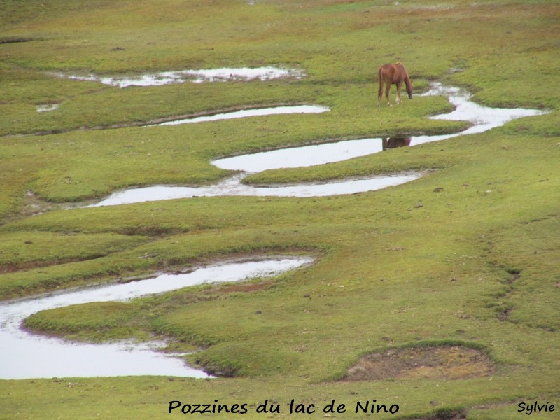 pozzines-lac-de-nino