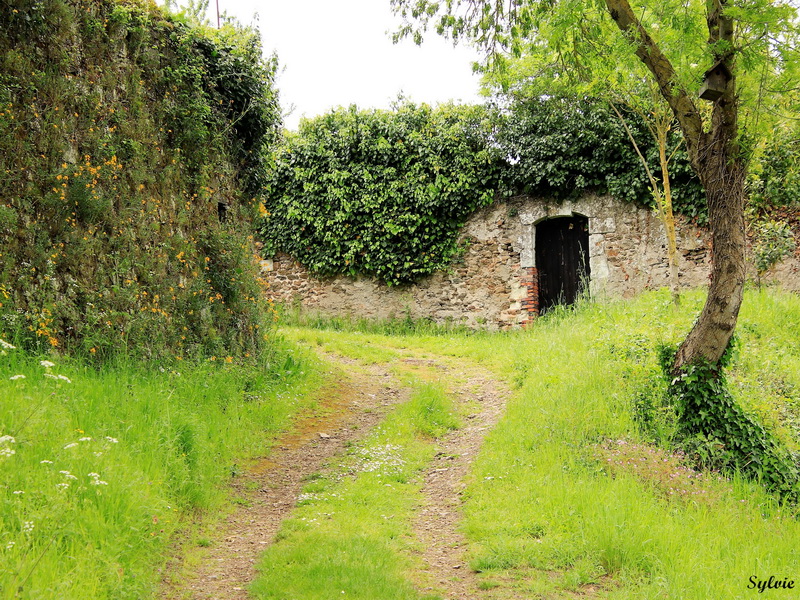 promenade julien gracq15