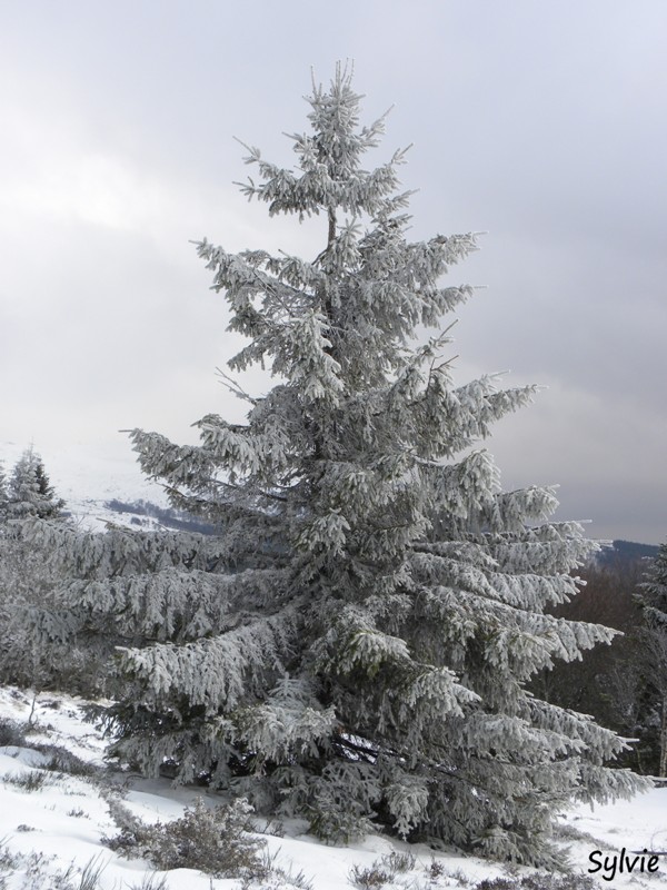 puy-de-chambourguet