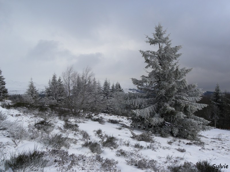 puy-de-chambourguet1