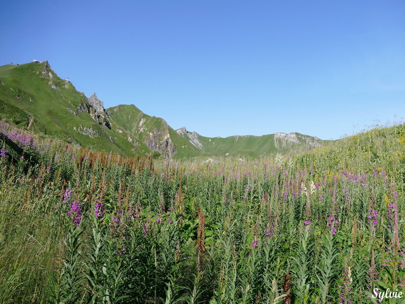 puy de sancy val de courre