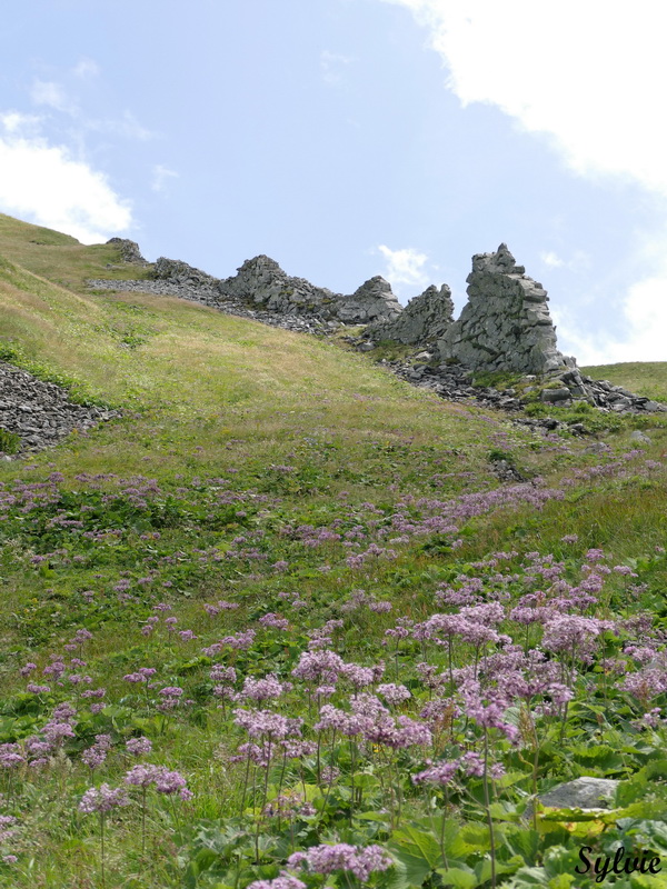 puy de sancy val de courre19