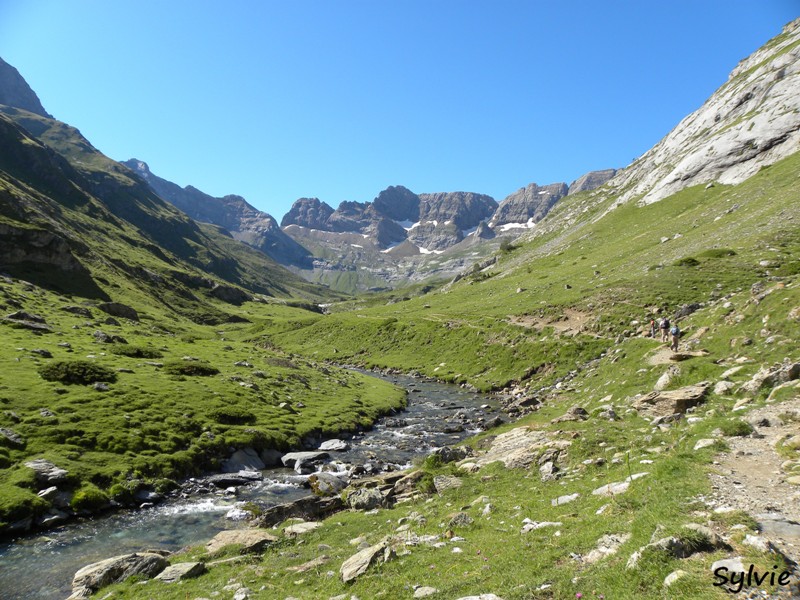 pyrenees