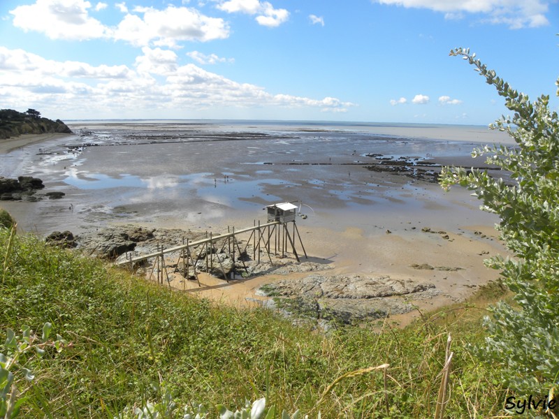 pêcheries-la-bernerie2