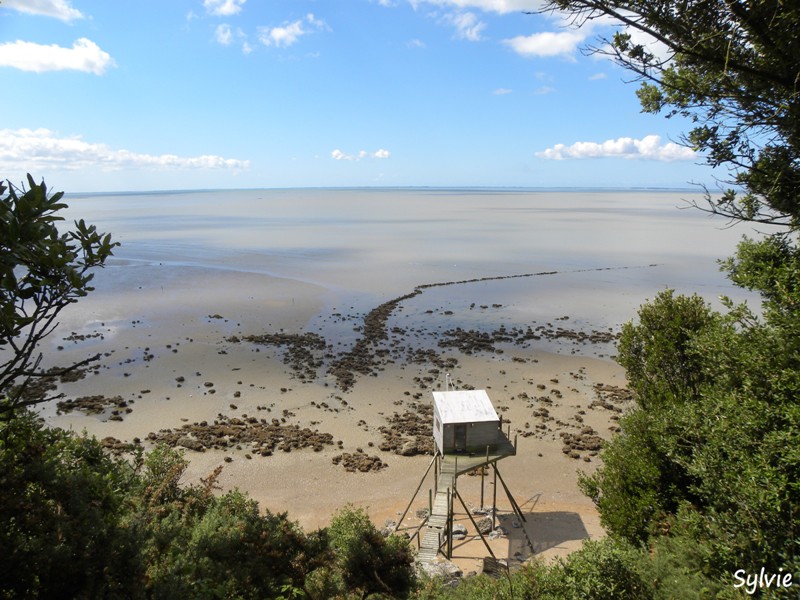 pêcheries-la-bernerie3