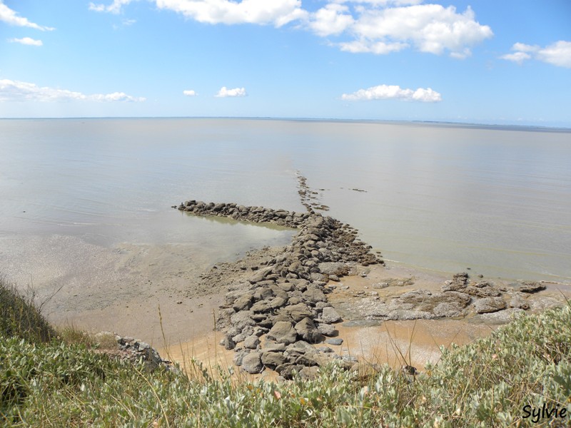 pêcheries-la-bernerie5