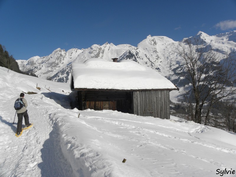 raquette-à-neige-Alpes