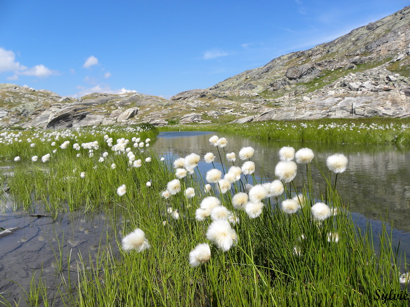 refuge et lac de la blanche lac blanchet inferieur11