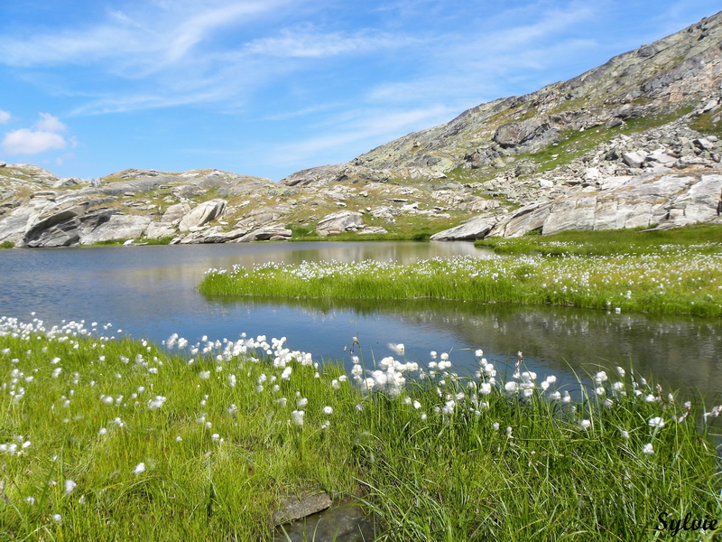 refuge et lac de la blanche lac blanchet inferieur6