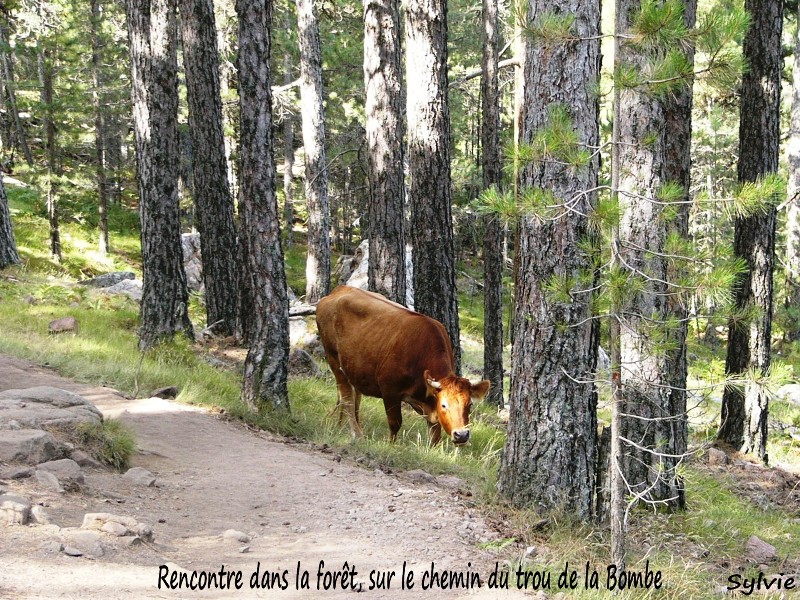 rencontre-trou-de-la-bombe