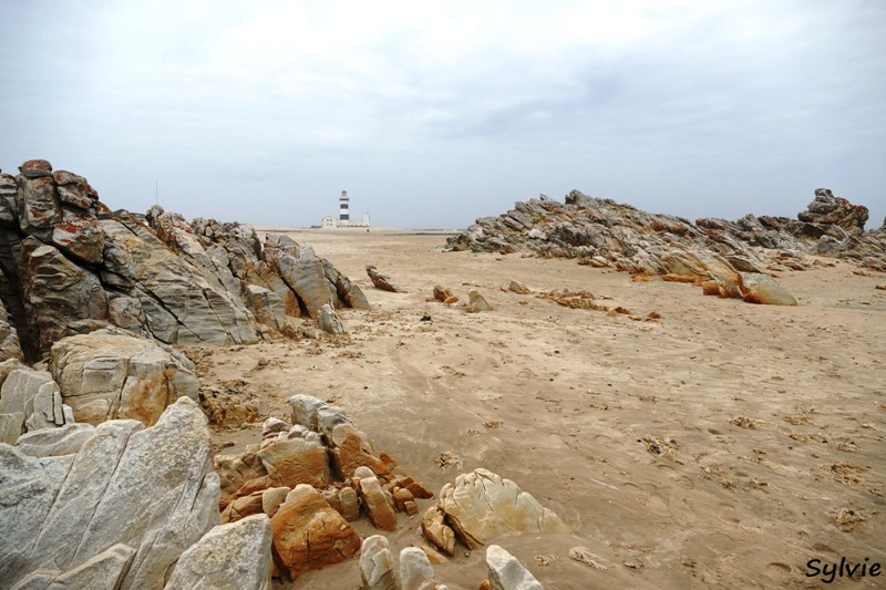 roseate tern hiking trail13