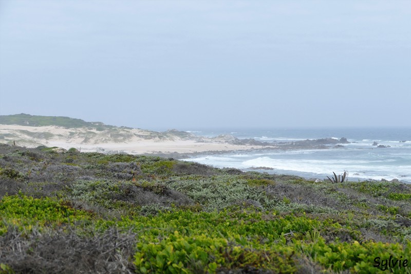 roseate tern hiking trail17