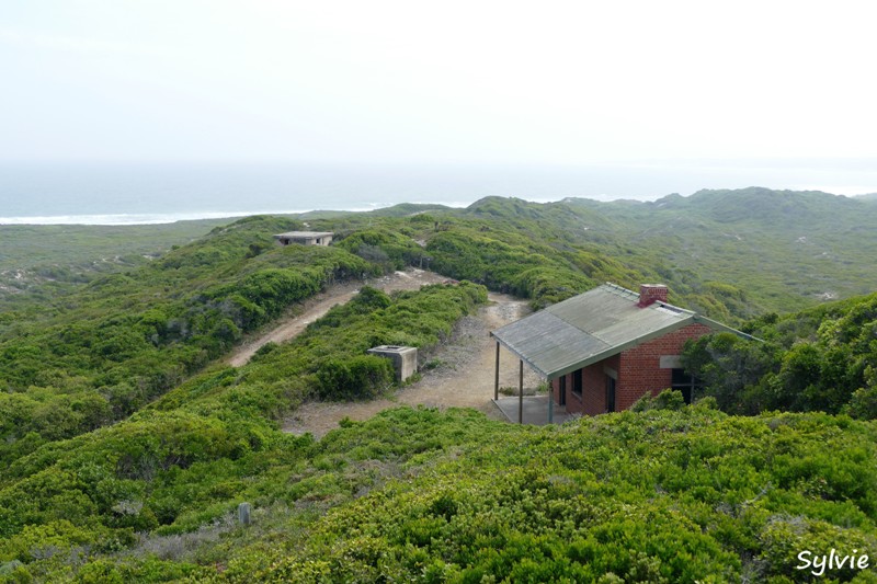 roseate tern hiking trail21