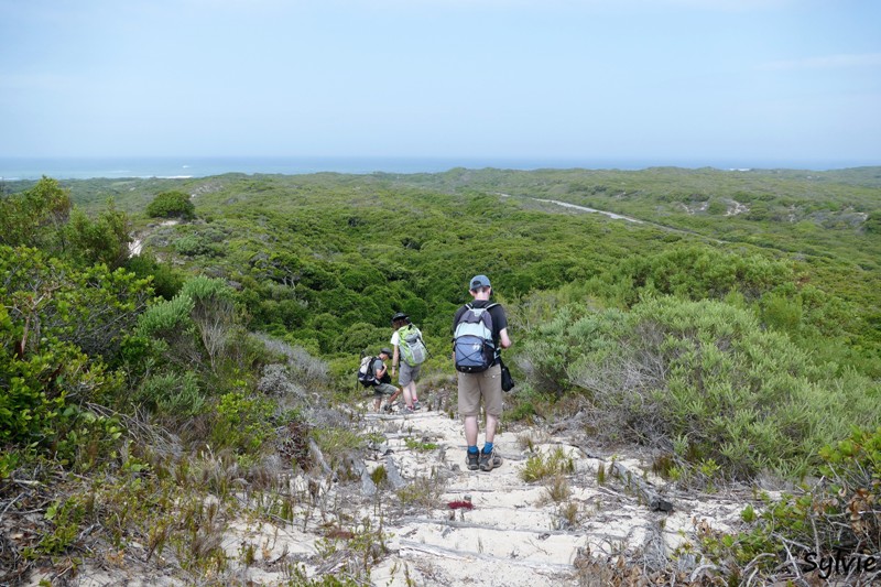 roseate tern hiking trail22