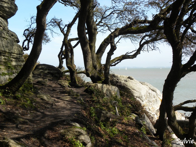 sentier-du-littoral7