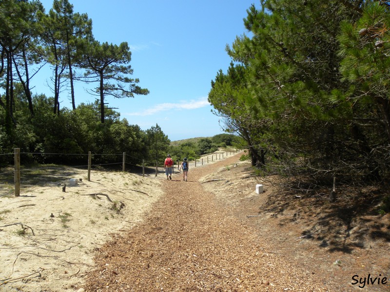 sentier-du-littoral8