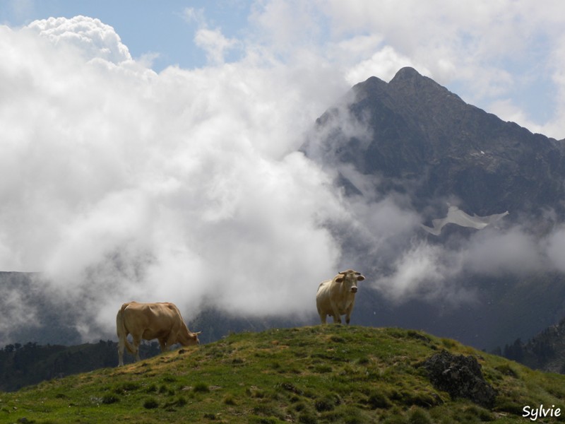 sommaire-hautes-pyrenees