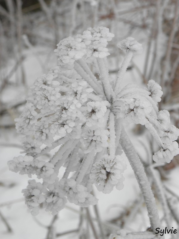 super-besse-2011-4