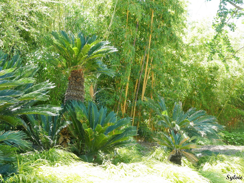 terra botanica11