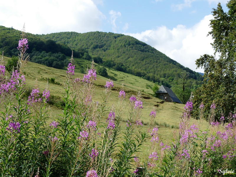 usclade puy griou1