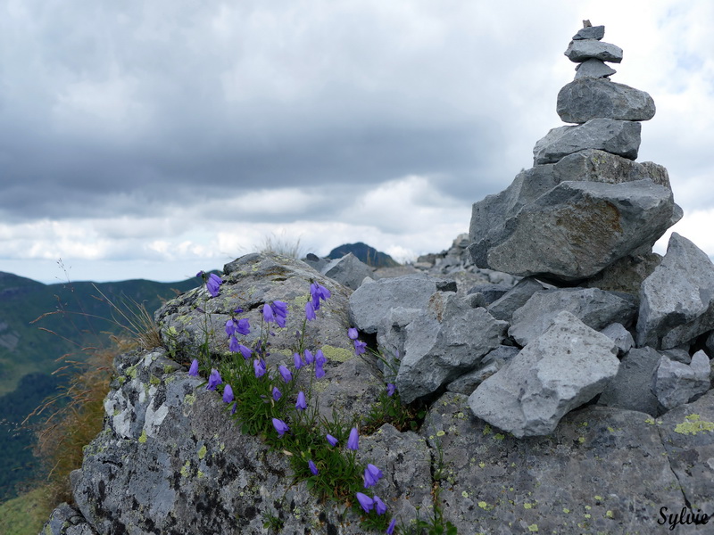 usclade puy griou14