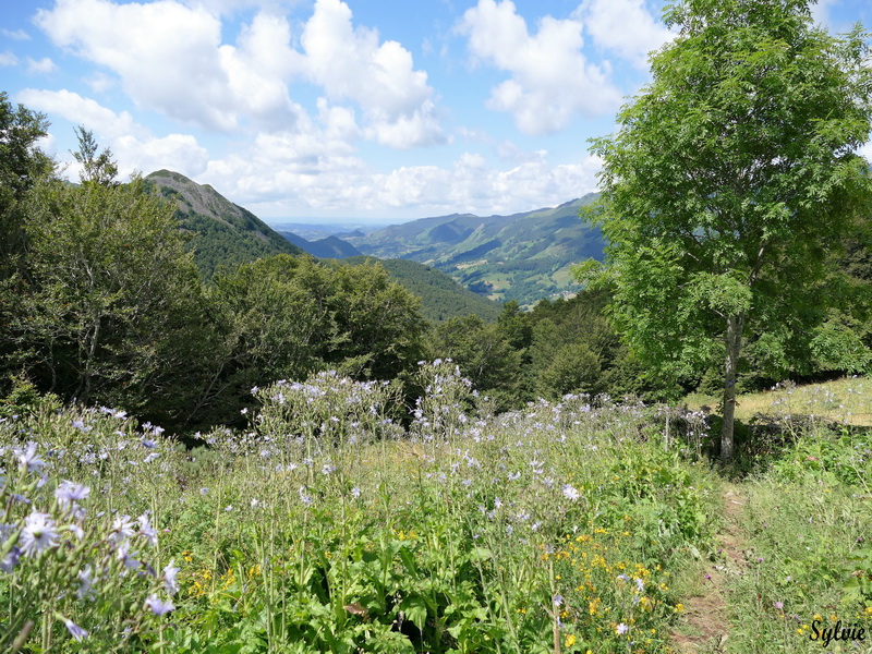 usclade puy griou6