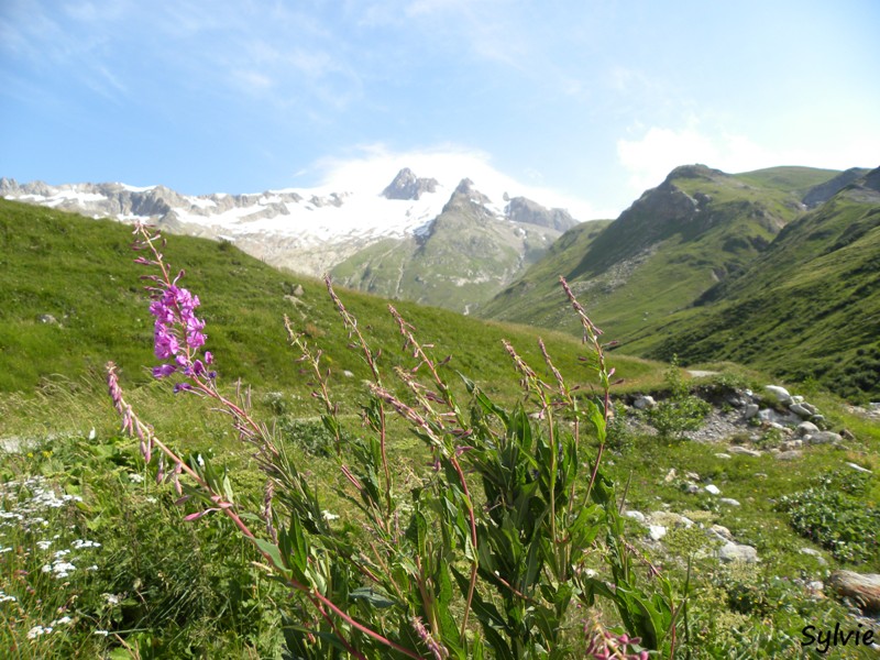 vallee-des-chapieux1