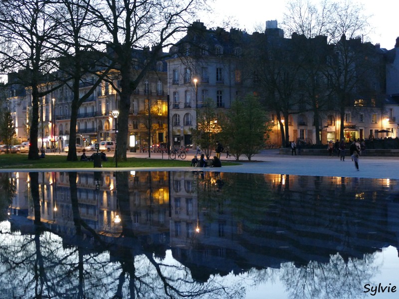 viree nocturne nantes9