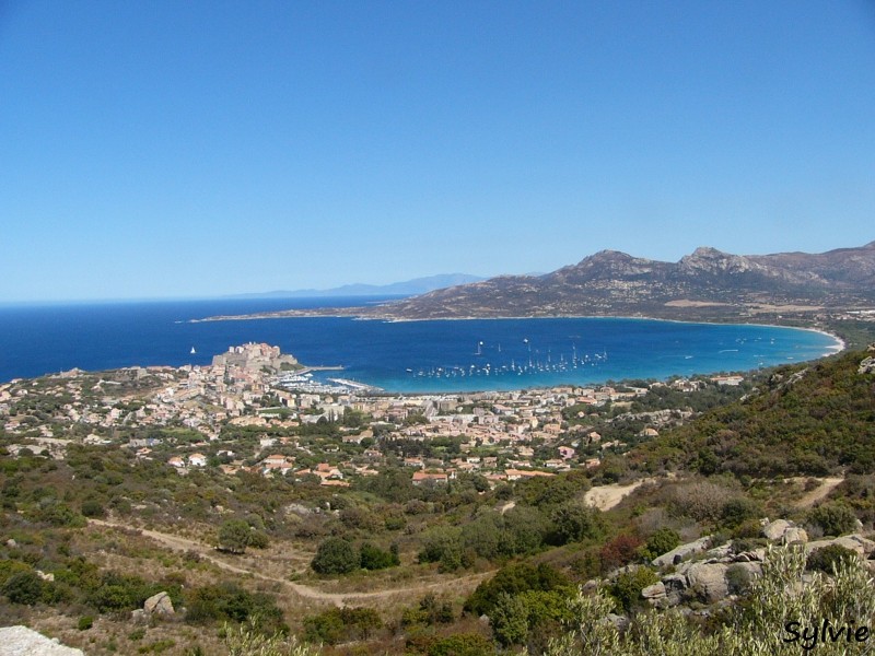 vue-sur-calvi1